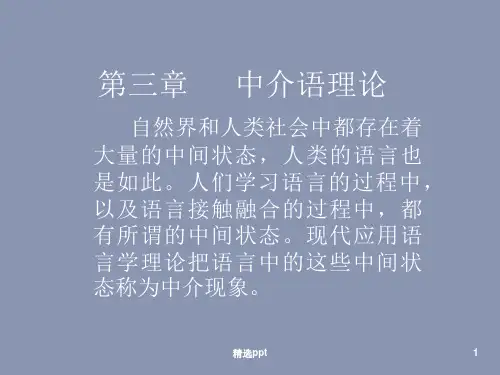 中介语理论