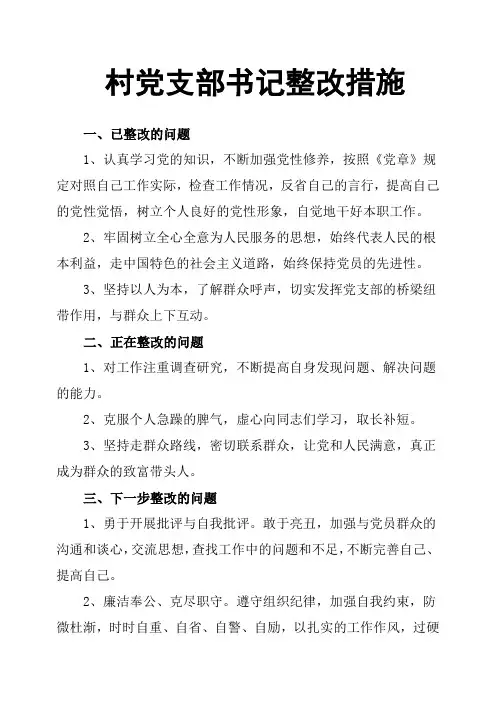 村党支部书记整改措施