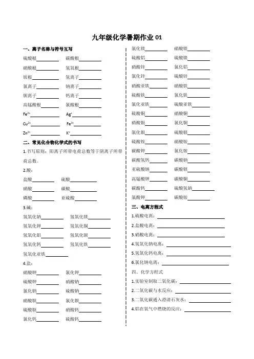 九年级化学寒期作业：化学式