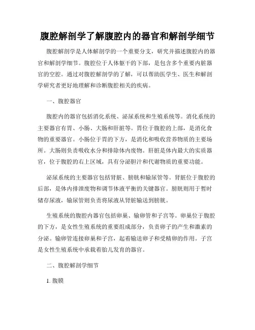 腹腔解剖学了解腹腔内的器官和解剖学细节