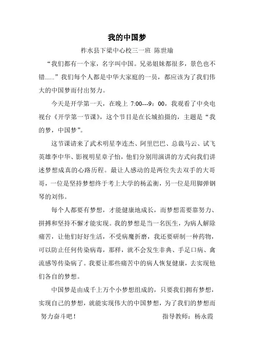 我的中国梦3