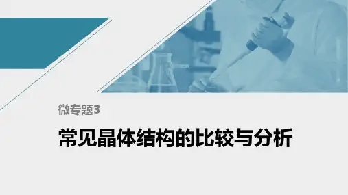 高中化学苏教版(2021)选择性必修2专题3第四单元微专题3 常见晶体结构的比较与分析(