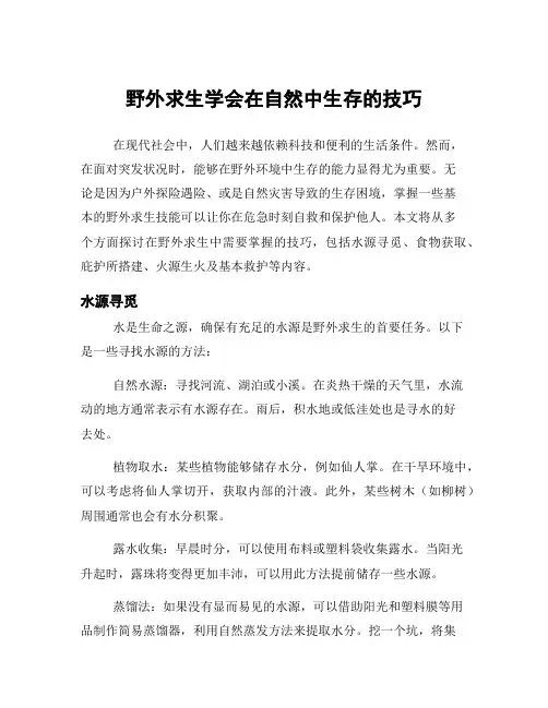 野外求生学会在自然中生存的技巧