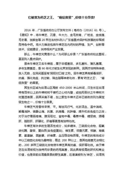 它被誉为药芝之王、“癌症救星”,价格十分昂贵!