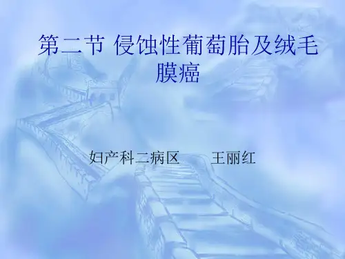 侵蚀性葡萄胎及绒毛膜癌ppt课件
