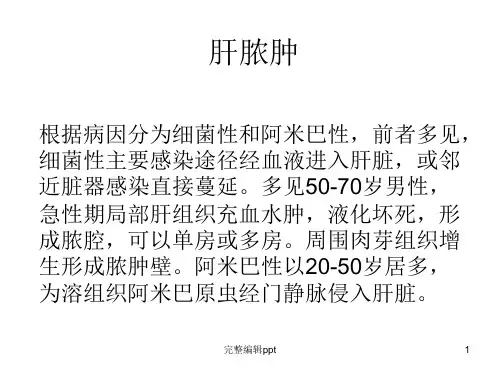 肝脓肿ppt课件
