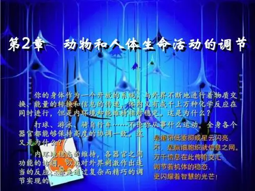人教版高中生物必修3第二章通过神经系统的调节课件18张共18张PPT