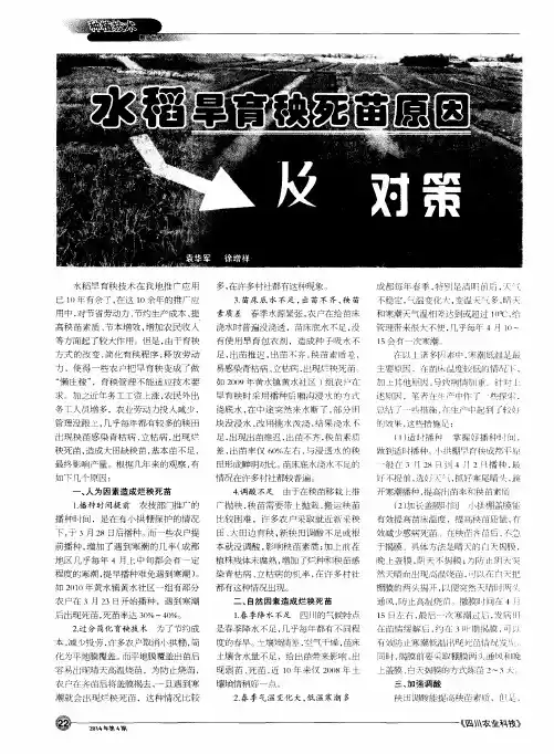 水稻旱育秧死苗原因及对策