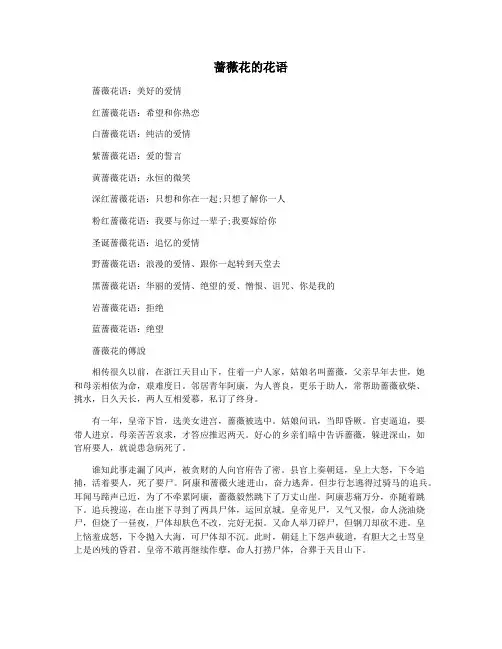 蔷薇花的花语