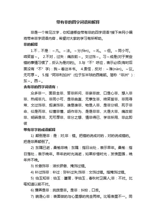 带有非的四字词语和解释
