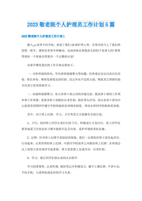 2023敬老院个人护理员工作计划5篇