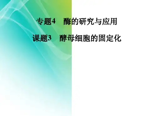 高中生物专题四课题3酵母细胞的固定化课件新人教版选修1