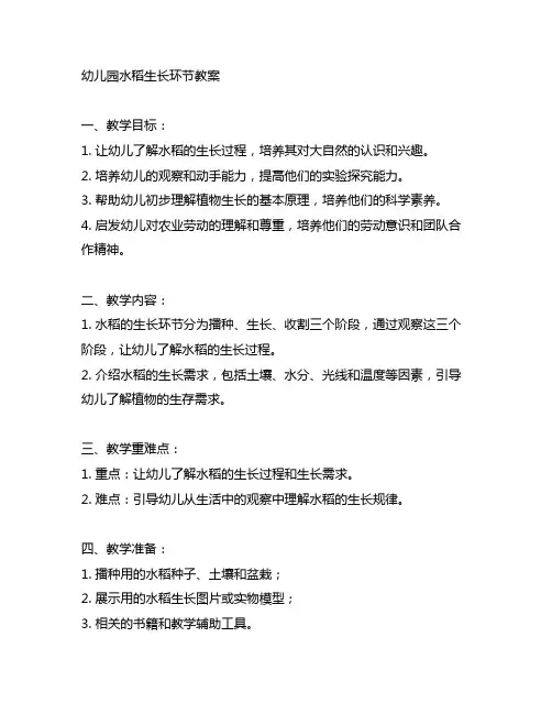 幼儿园水稻生长环节教案 幼儿园教案