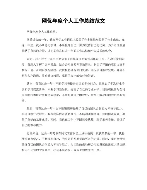 网优年度个人工作总结范文
