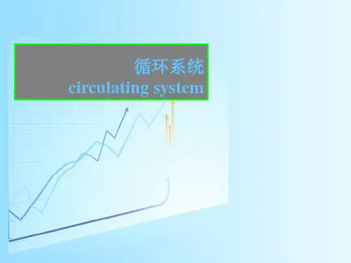 循环系统 课件