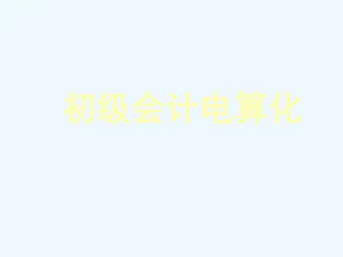 初级会计电算化讲义课件