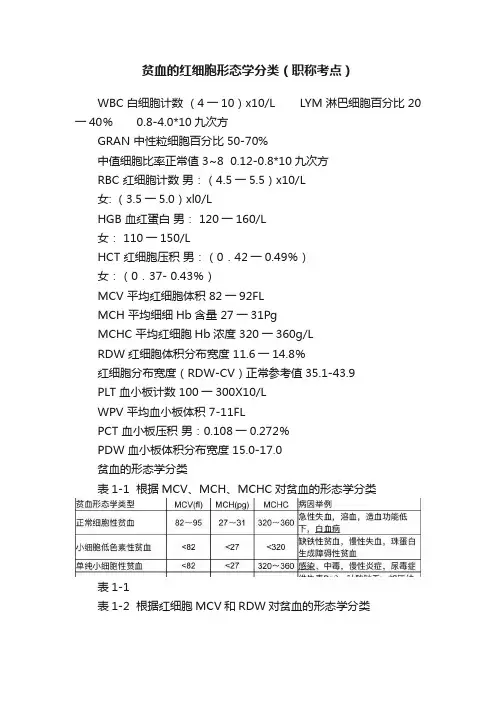 贫血的红细胞形态学分类（职称考点）