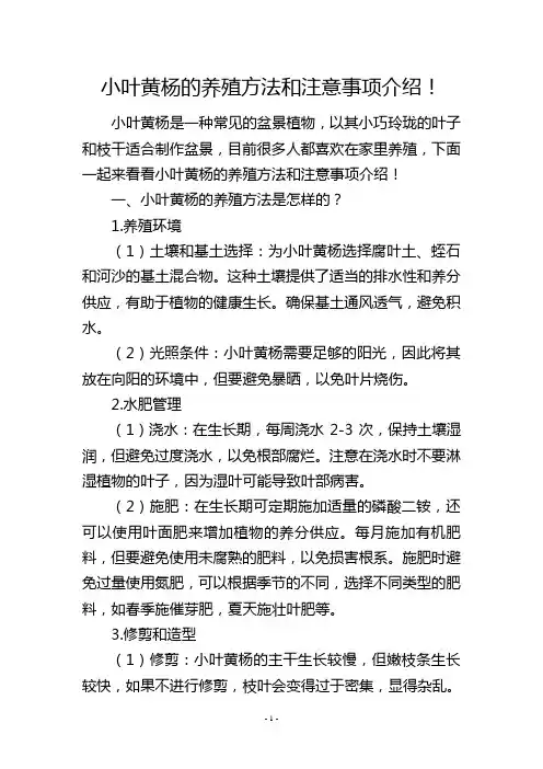小叶黄杨的养殖方法和注意事项介绍!