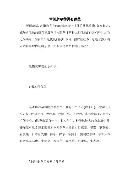 常见杂草种类有哪些