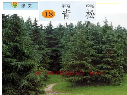 小学语文二年级上册《青松》精品PPT课件