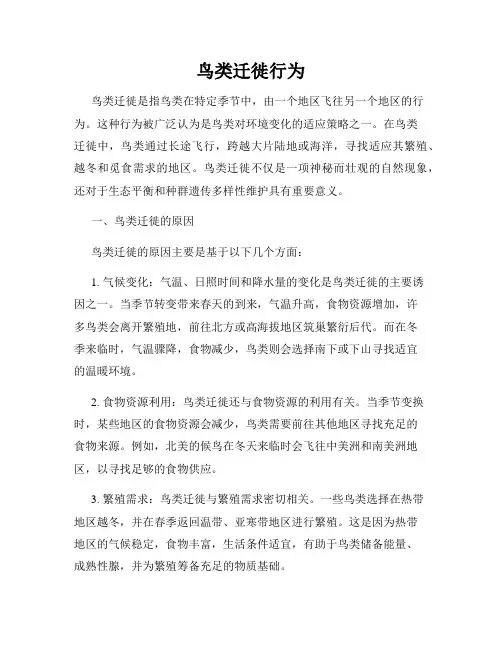 鸟类迁徙行为