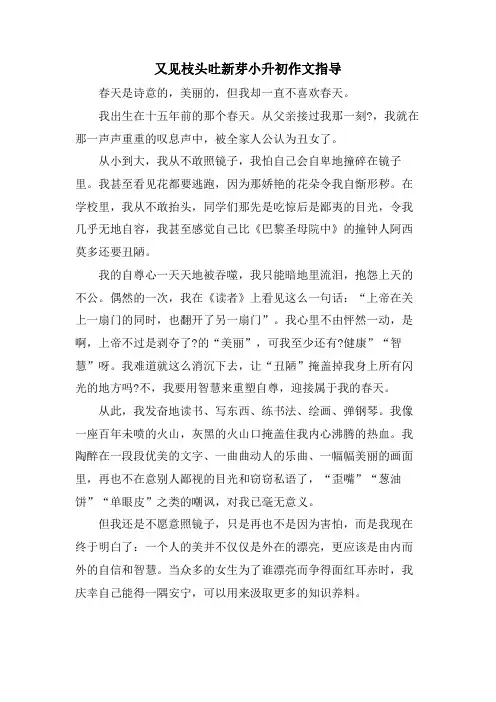 又见枝头吐新芽小升初作文指导