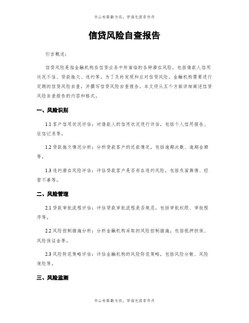 信贷风险自查报告
