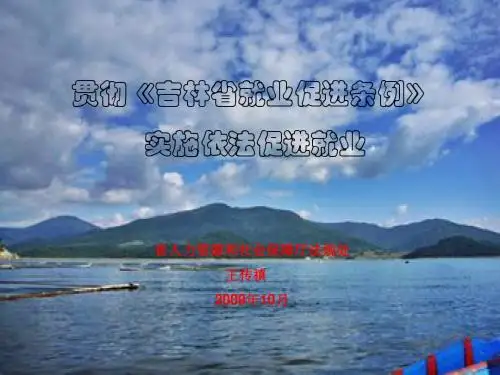 就业促进条例讲稿