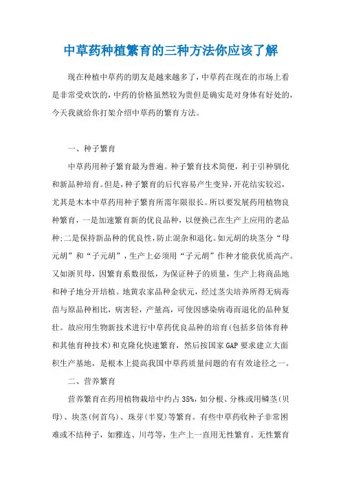 中草药种植繁育的三种方法你应该了解