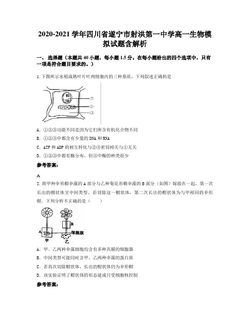 2020-2021学年四川省遂宁市射洪第一中学高一生物模拟试题含解析
