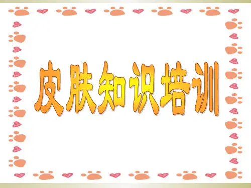 《皮肤基本知识培训》PPT课件