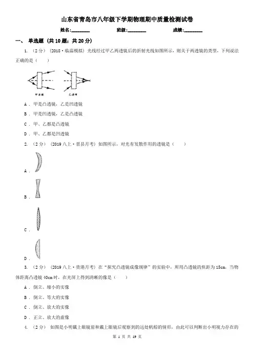 山东省青岛市八年级下学期物理期中质量检测试卷
