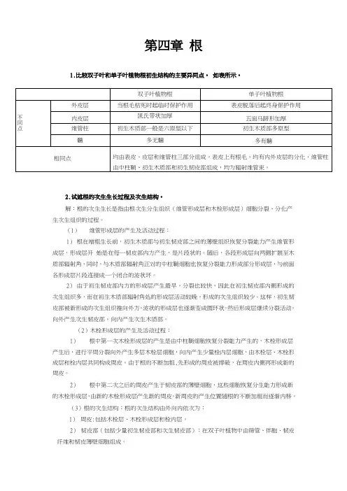 植物学第四章 根 论述题