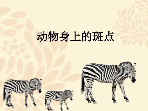 一年级上册美术课件-《动物身上的斑点》 浙美版