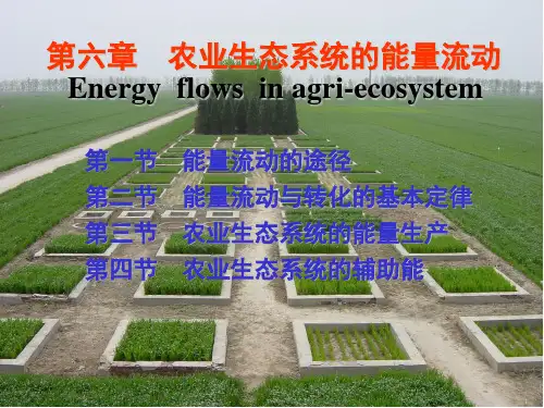 农业生态学-第6章-能量流动