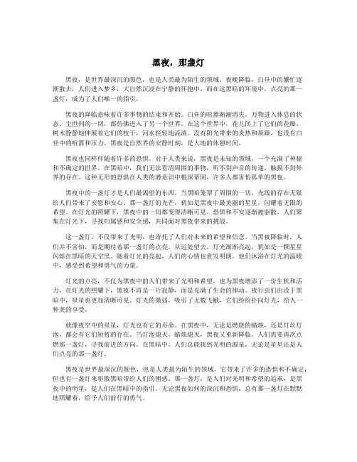 黑夜,那盏灯