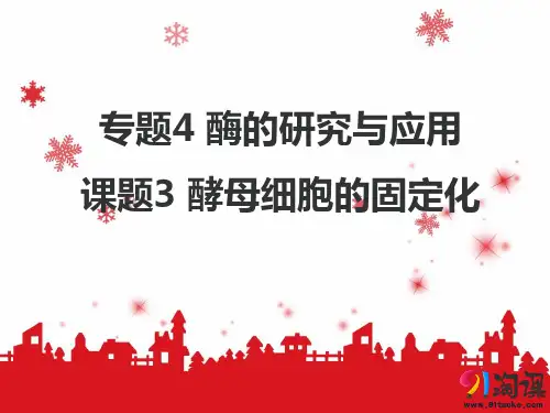 课件1：4.3酵母细胞的固定化