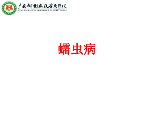 猪蠕虫病