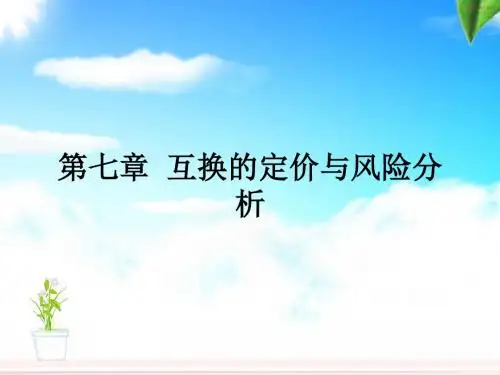 互换的定价与风险分析-精品文档