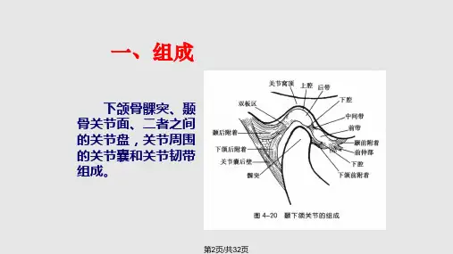 颞下颌关节运动学.pptx