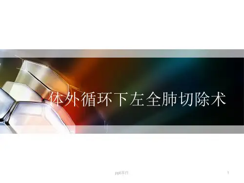 体外循环下左全肺切除术  ppt课件