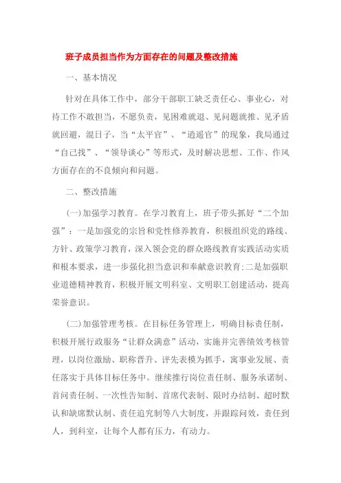 班子成员担当作为方面存在的问题及整改措施