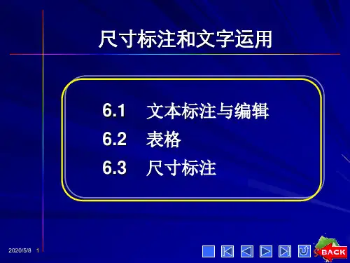 CAD尺寸标注和文字运用