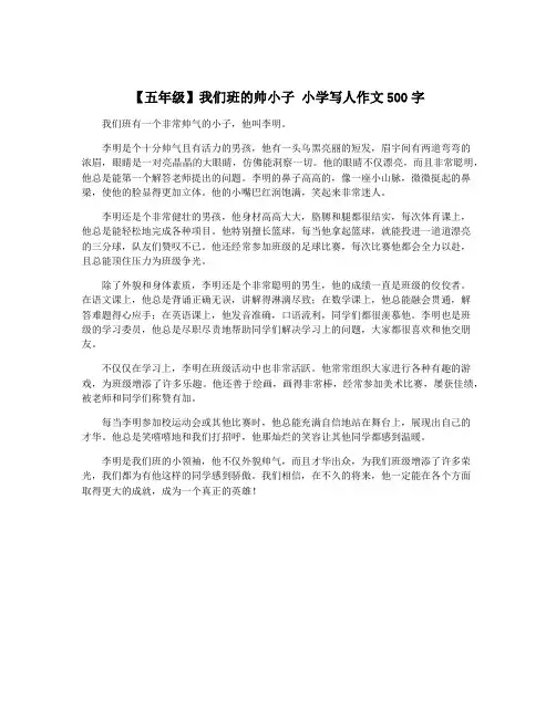 【五年级】我们班的帅小子 小学写人作文500字
