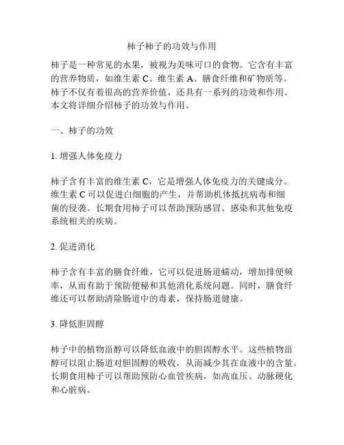 柿子柿子的功效与作用
