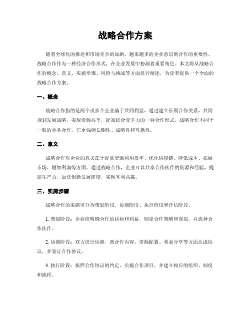 战略合作方案