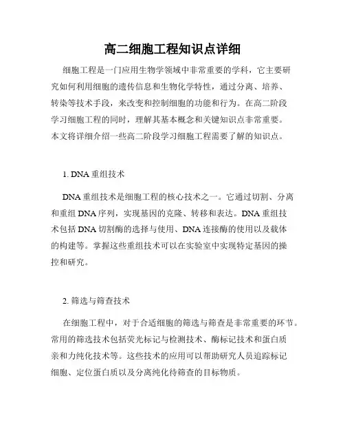 高二细胞工程知识点详细