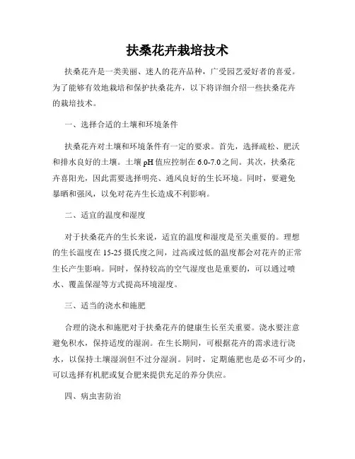 扶桑花卉栽培技术