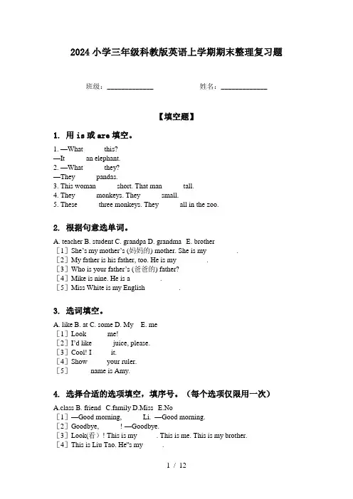 2024小学三年级科教版英语上学期期末整理复习题