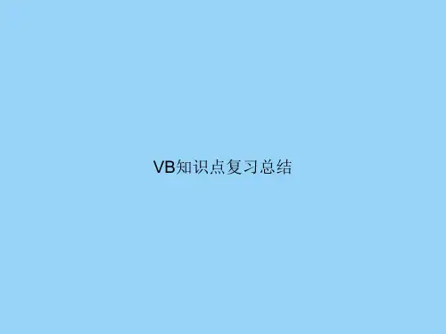 VB知识点复习总结